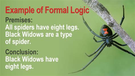example of logic.
